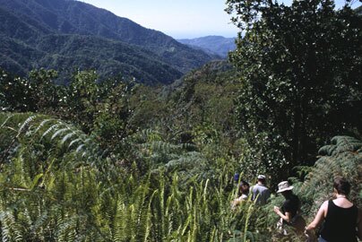 Sierra Maestra mountains, Cuba