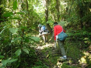Lost City Trek, Colombia