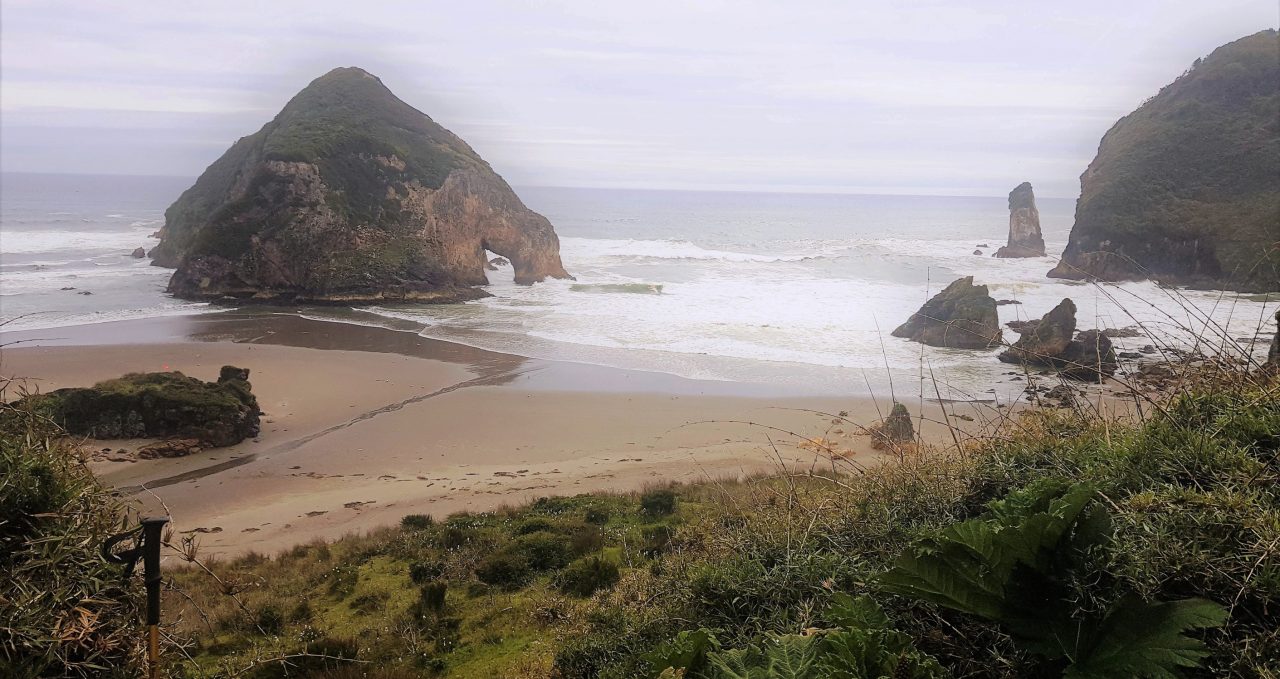 Duahtao and Chepu Trek, Chiloe, Chile