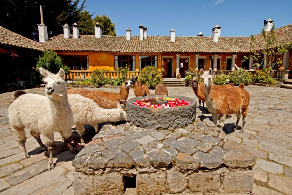 Courtyard, Hacienda San Agustin de Callo, Ecuador