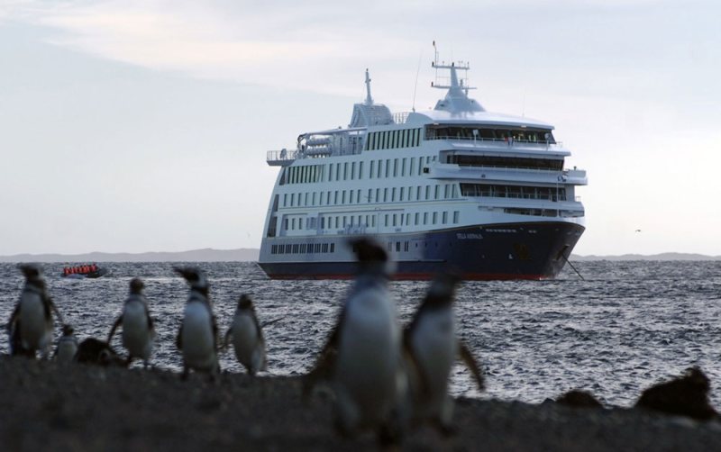 Stella Australis cruise ship at sea with penguins in the foreground.