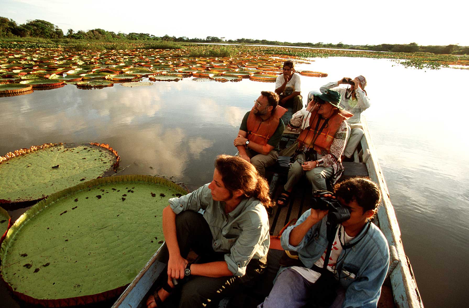 Bird Watching At Karanambu Ranch Guyana