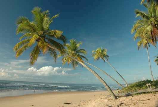 Cassange Beach North east Brazil