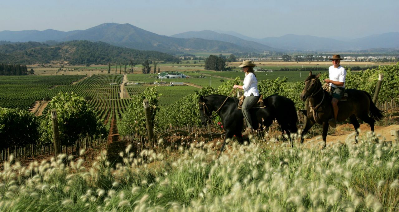 Riding through Wine country Chile