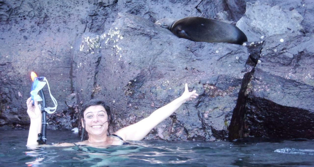 Snorkelling with sea lion Genovesa Galapagos