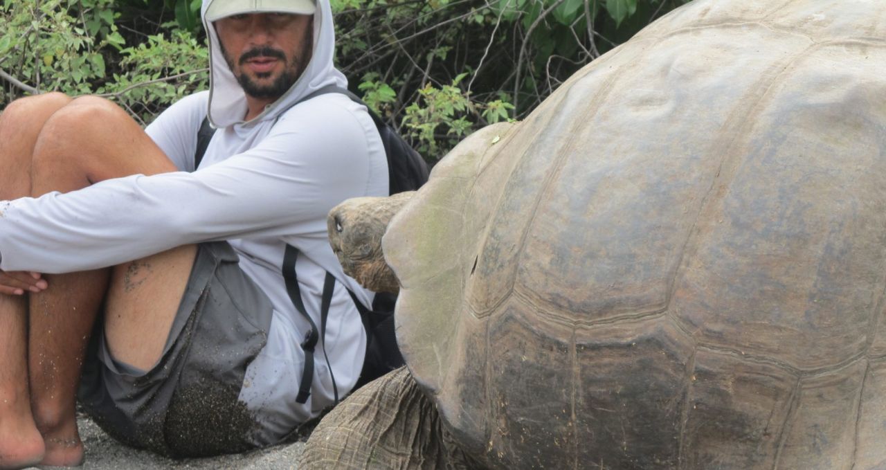 Guide and Giant Tortoise Urbina Bay Isabela Galapagos