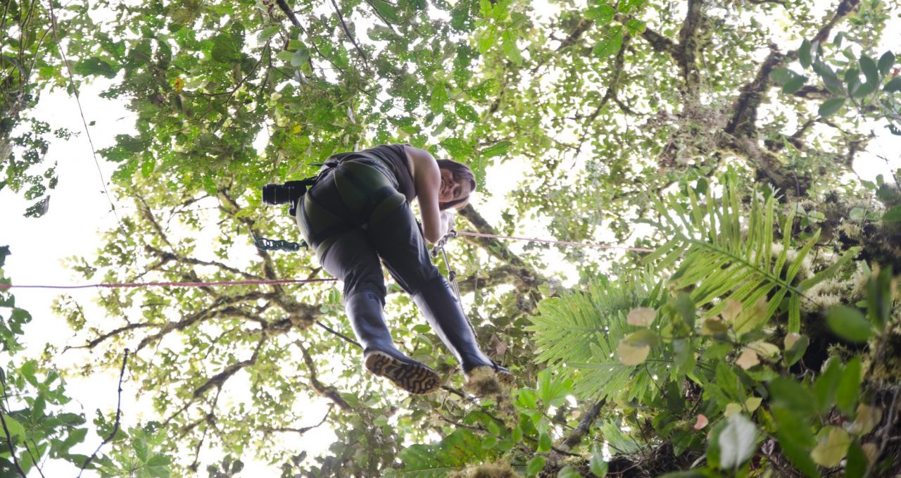 Abseiling Maquipucuna Cloudforest Ecuador