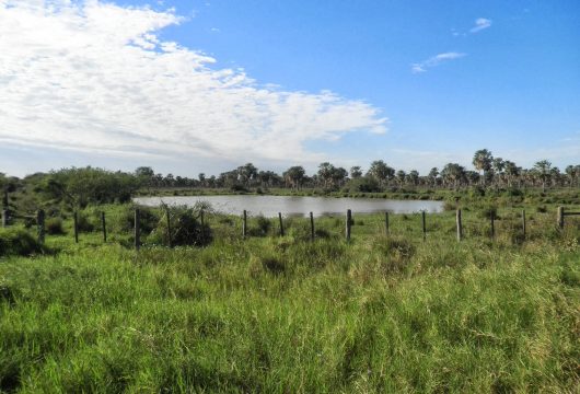 Chaco Paraguay