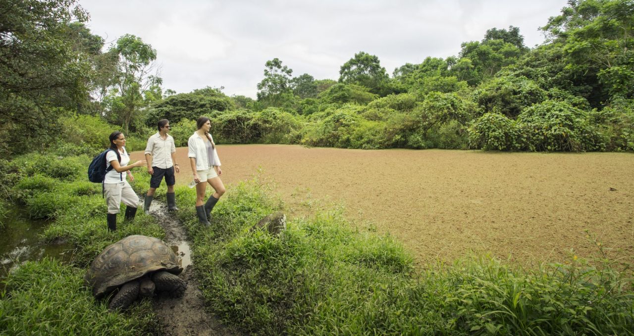 Finch Bay Manzanillo walk and giant tortoise Galapagos