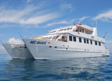 Anahi yacht Galapagos