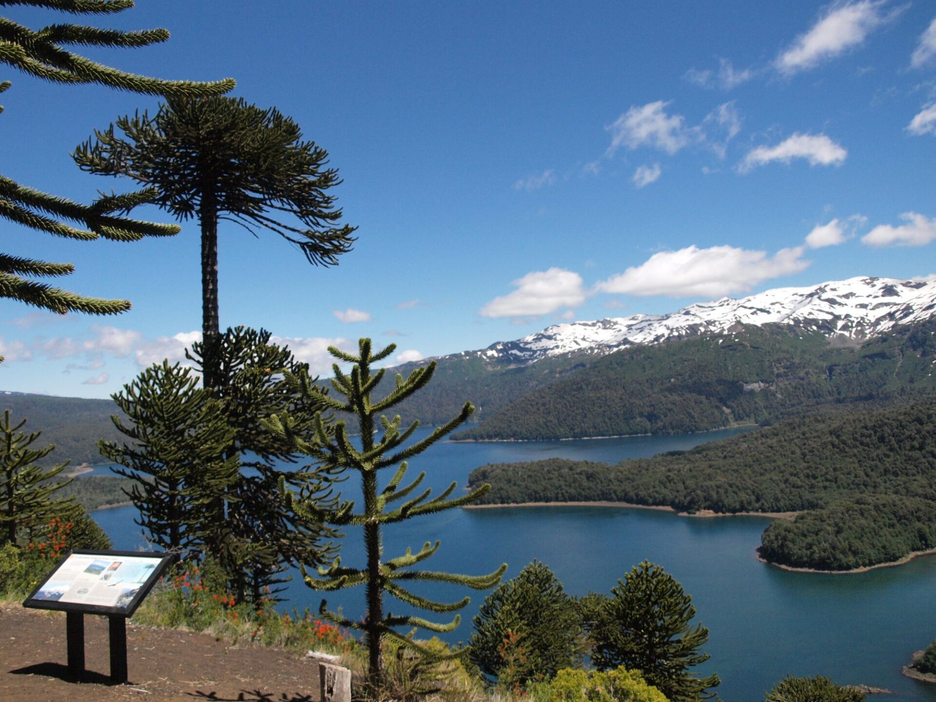 Conguillio National Park Chile Conguillio National Park Chile