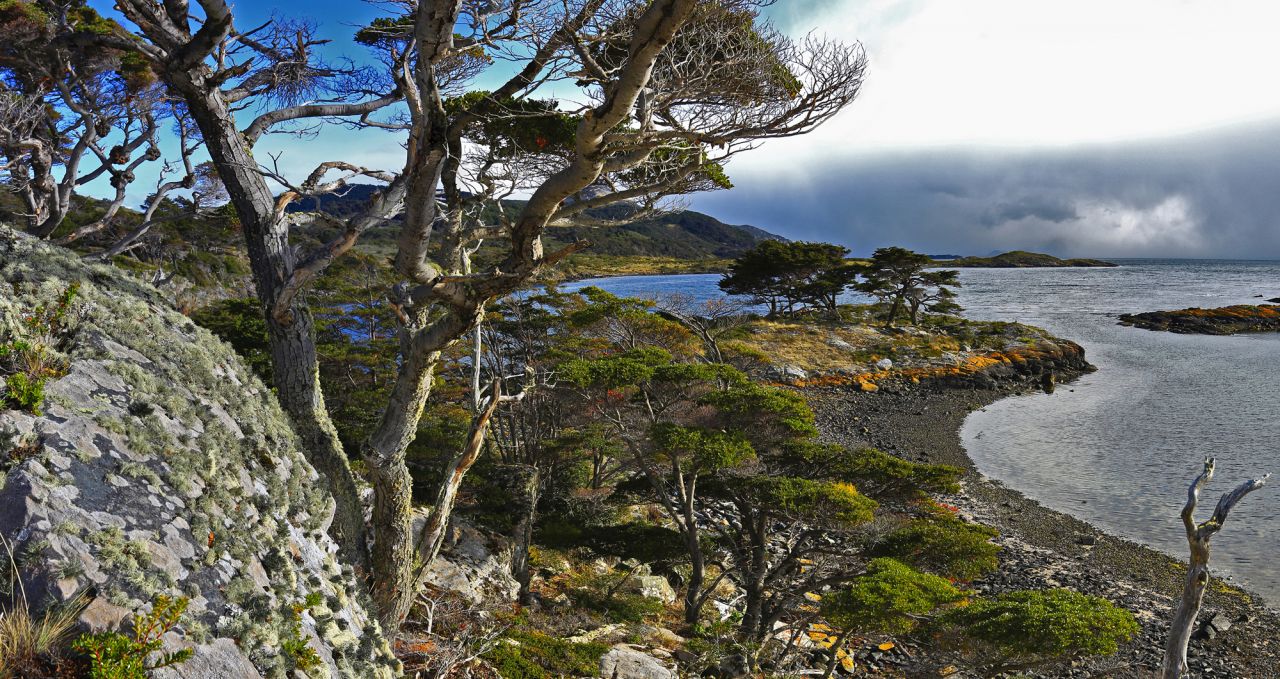 Australis Wulaia Bay Patagonia Chile