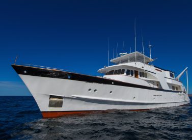 Beluga yacht Galapagos