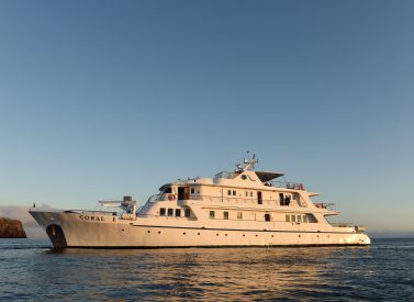 Coral 1 yacht Galapagos