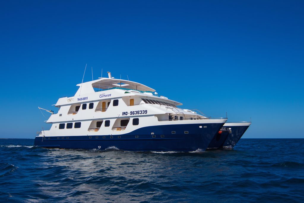 Cruise holiday Cormorant Yacht Galapagos