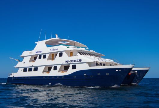 Cruise holiday Cormorant Yacht Galapagos