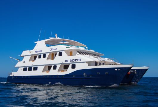 Cruise holiday Cormorant Yacht Galapagos