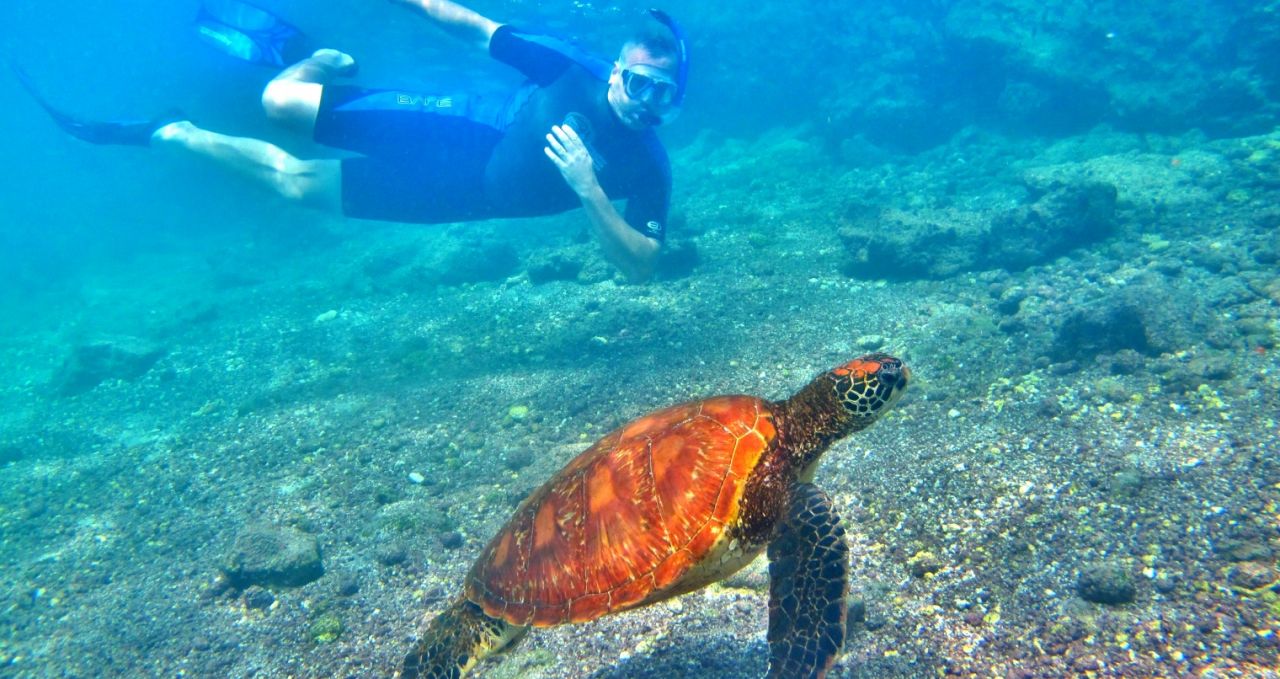 Finch Bay snorkelling with Turtle Galapagos