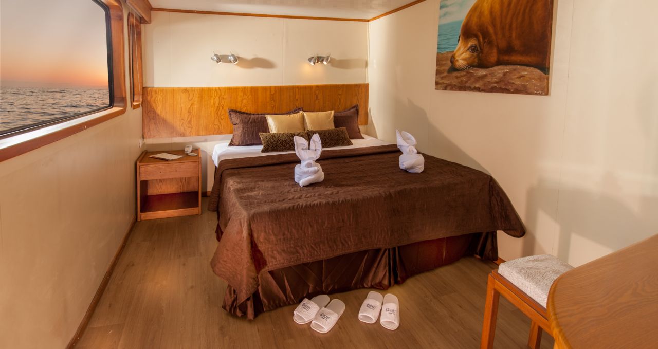 Galaxy yacht double bedded cabin Galapagos