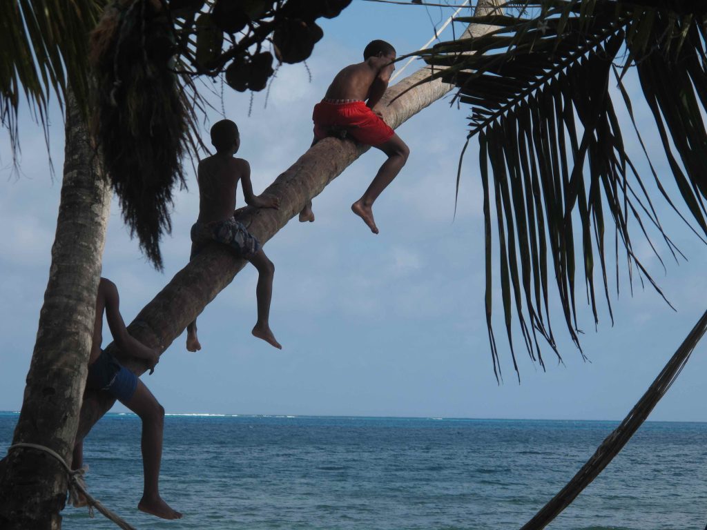 kids-playing-on-a-palm-tree-manzanillo-beach-providencia-colombia