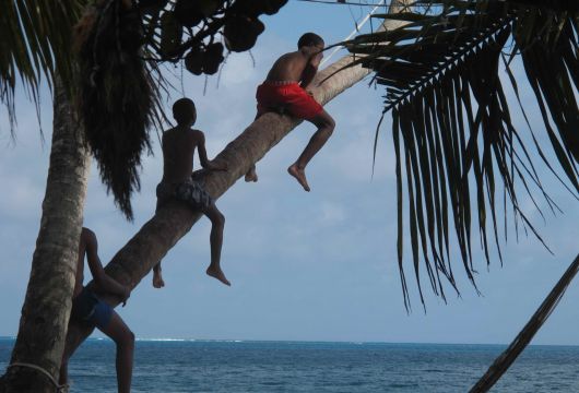 kids-playing-on-a-palm-tree-manzanillo-beach-providencia-colombia