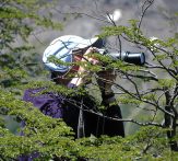 Photographer in Southern Beech Forest Chile