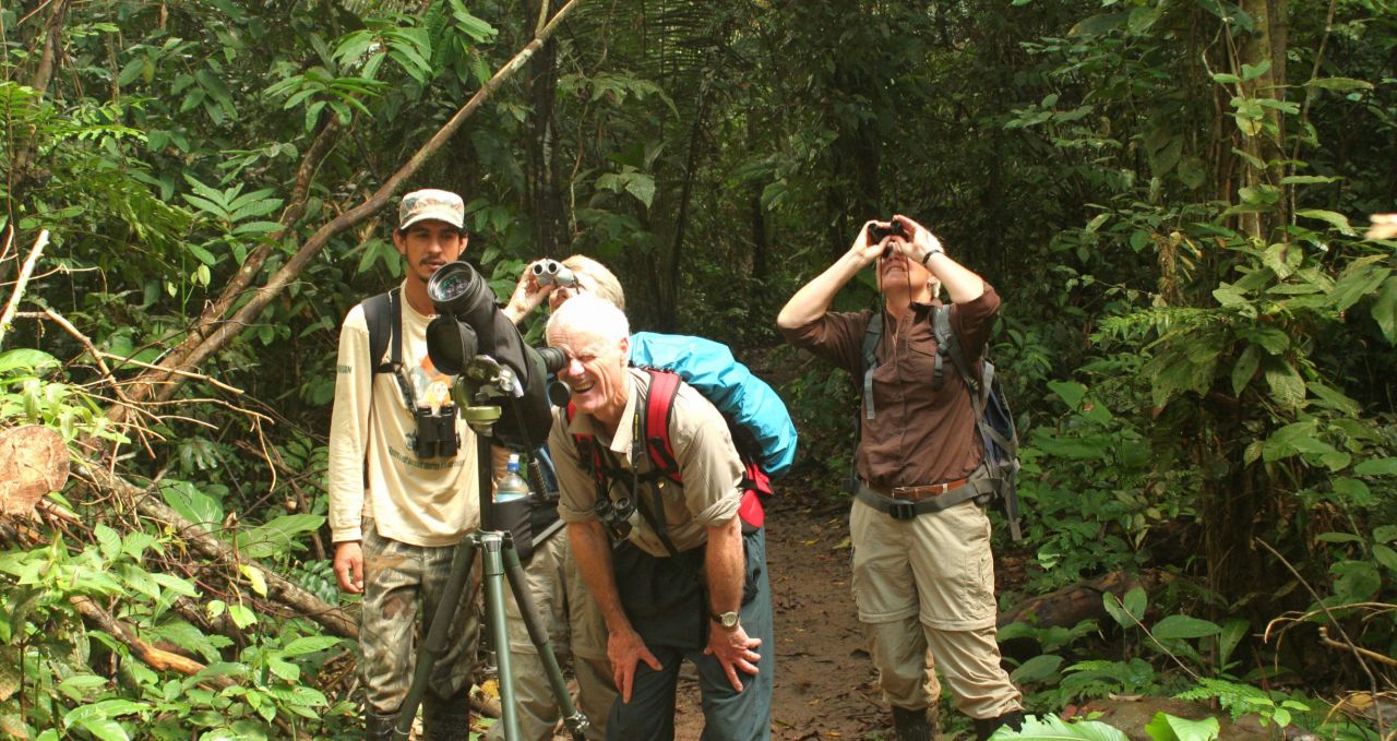 Bird watching Amazon Peru