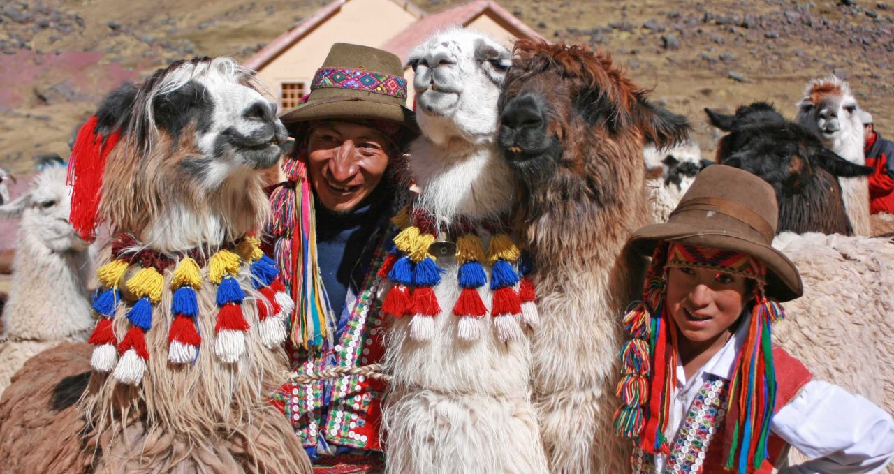 ausangate-llamas-peru