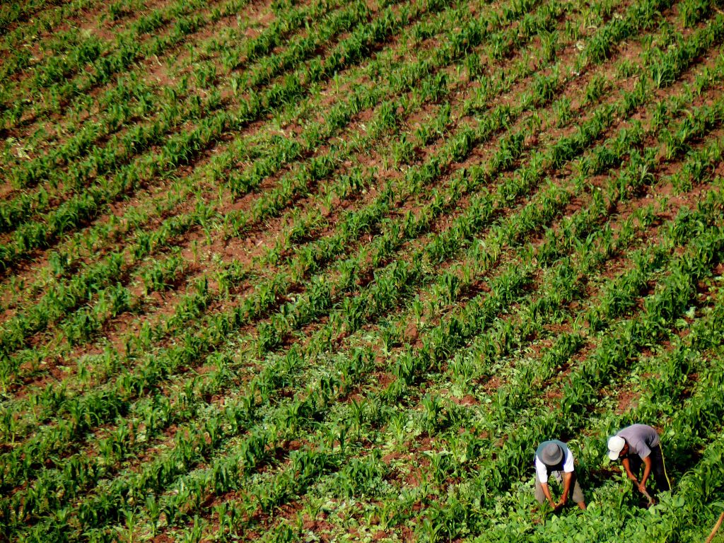 Farmers Moon Temple Trek peru