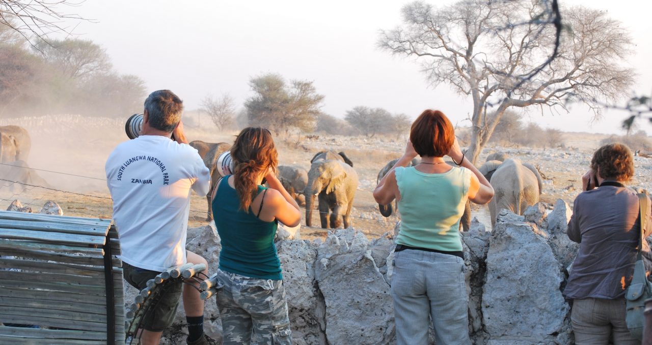 Game viewing in Namibia