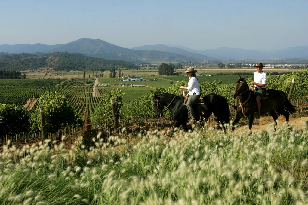 horse riding wine region Chile