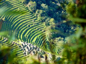 Huinay Huayna terraces Inca Trail Peru