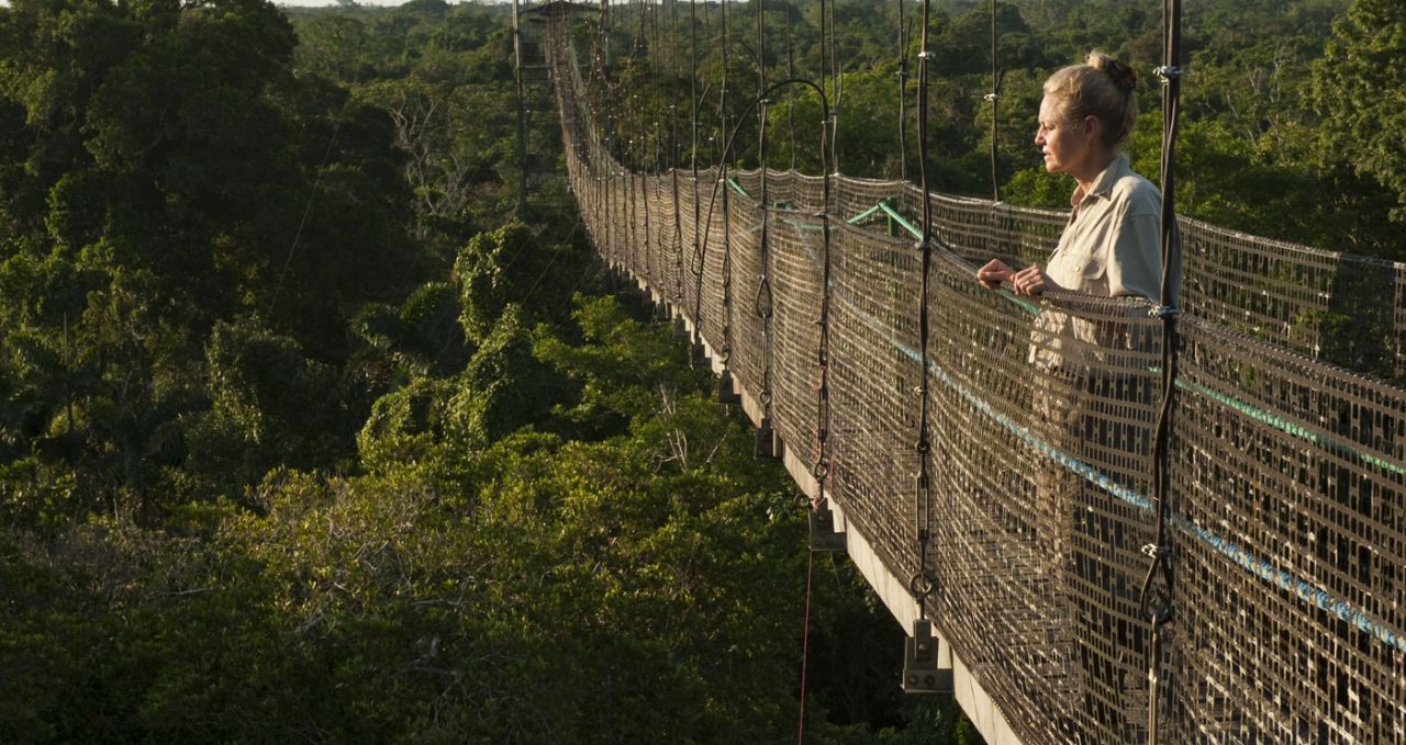 Canopy Walkway Sacha Lodge Ecuador