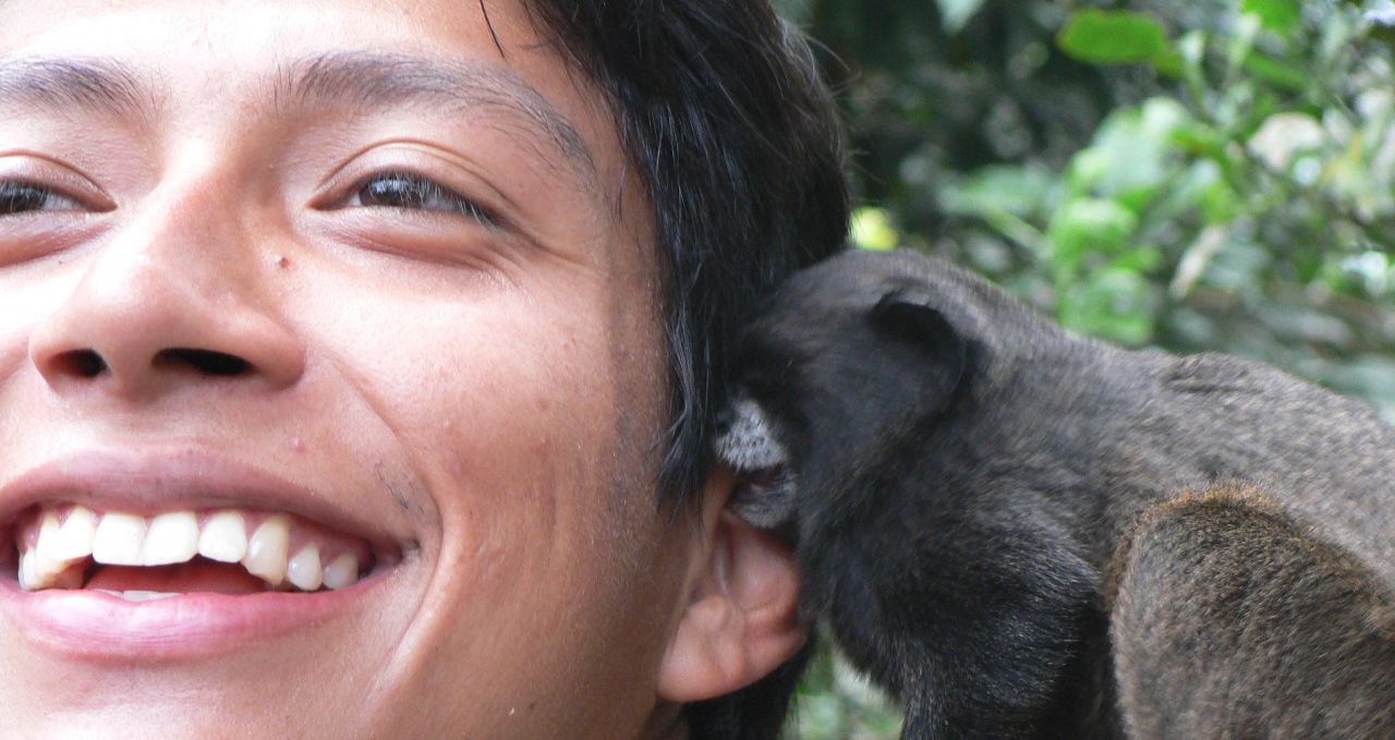 Capuchin monkey and guide Ecuador