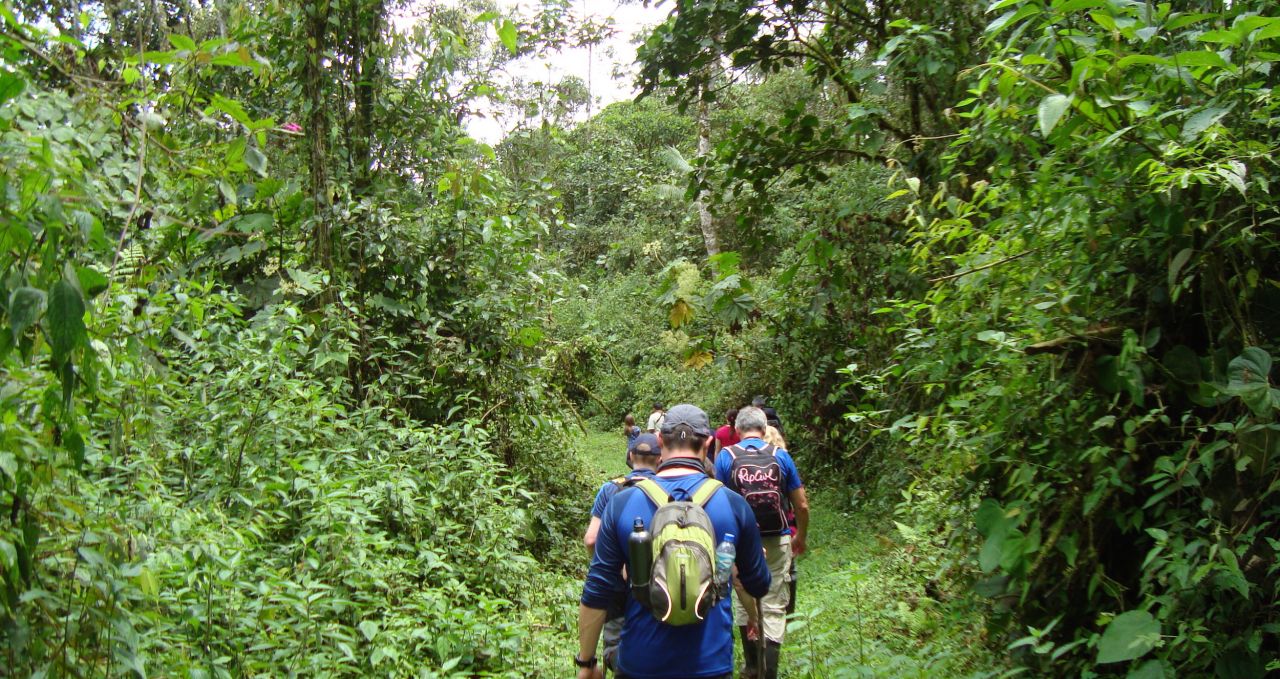 Cloud forest hike Ecuador