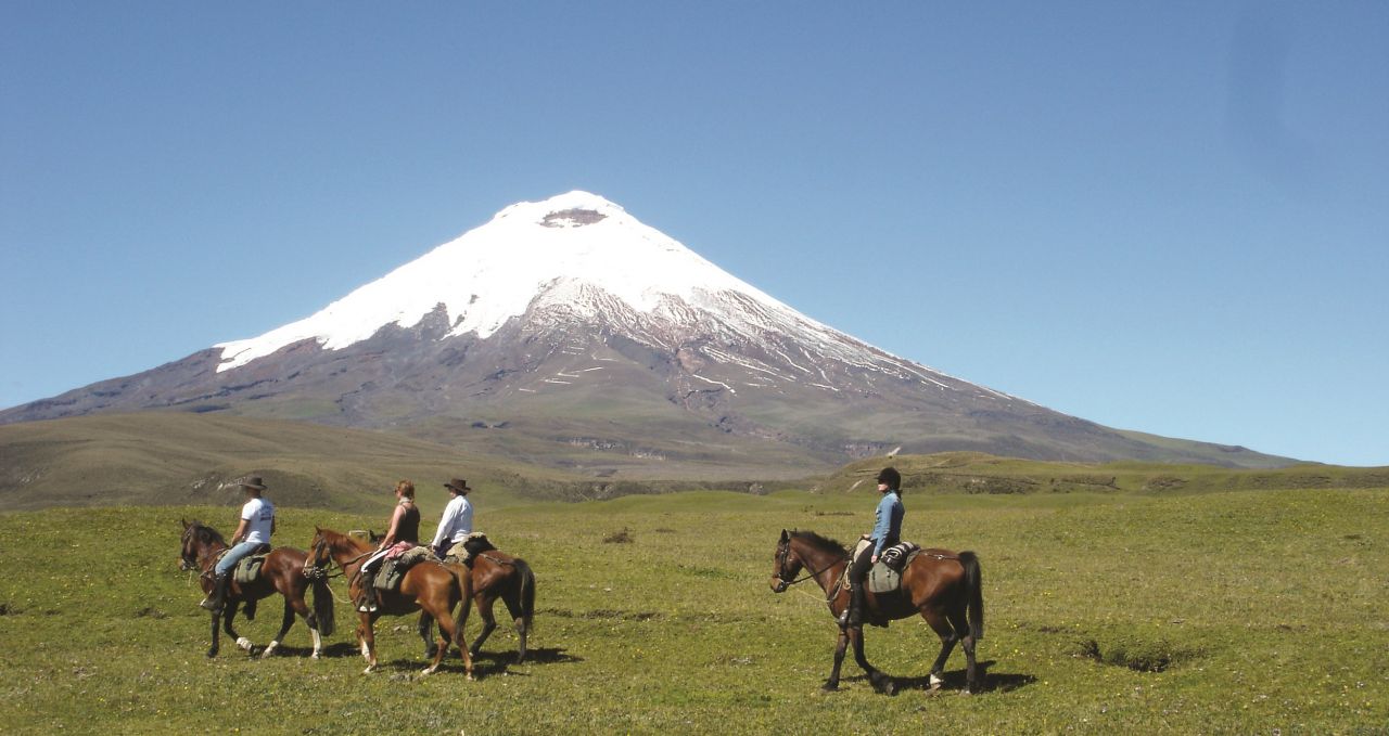 Cotopaxi horses Ecuador