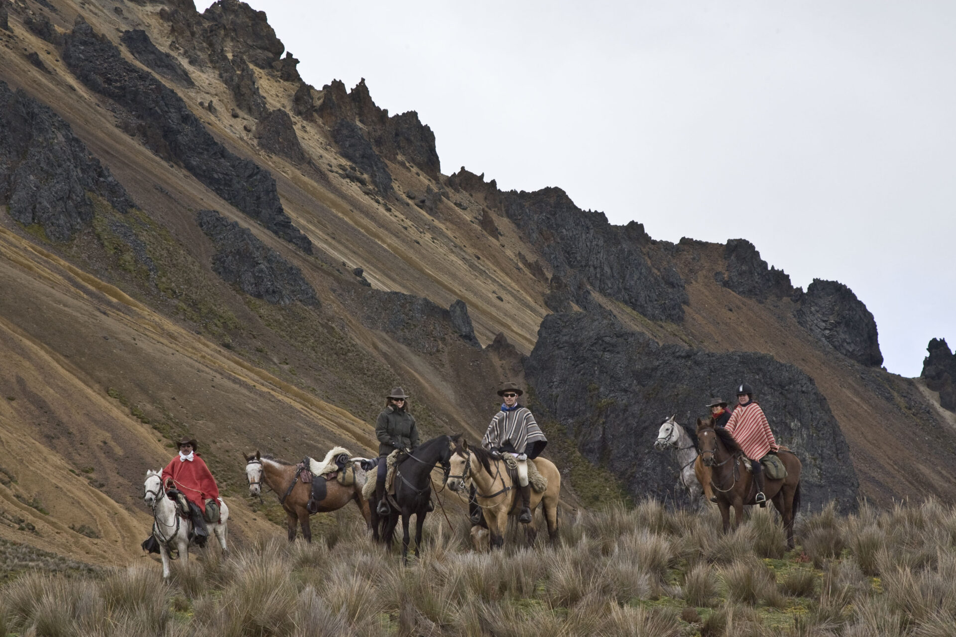 cotopaxi horse tours