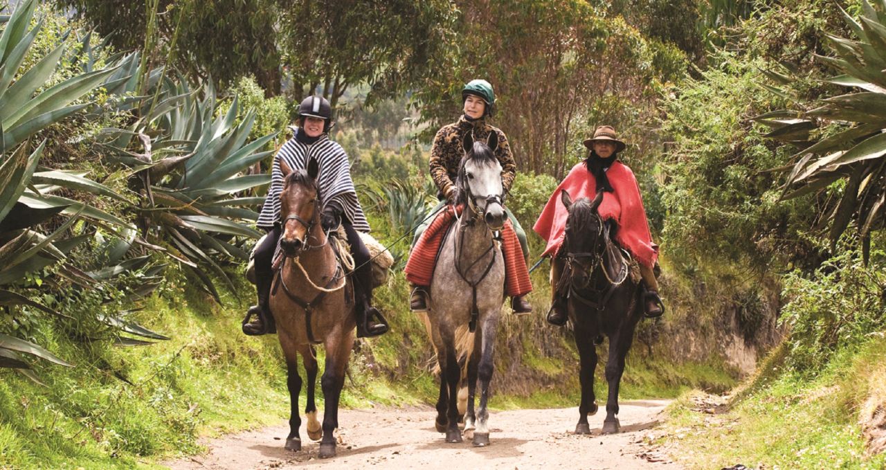 Horse riding Ecuador
