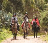 Horse riding Ecuador