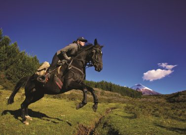 jumping horse rider Ecuador
