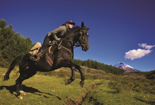 jumping horse rider Ecuador