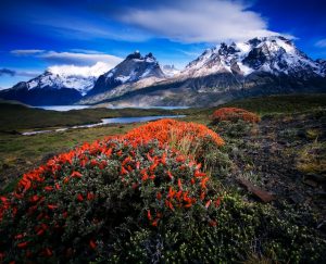 nordenskjold-view-chile