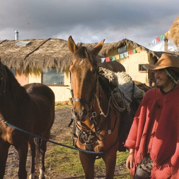 cotopaxi horse tours