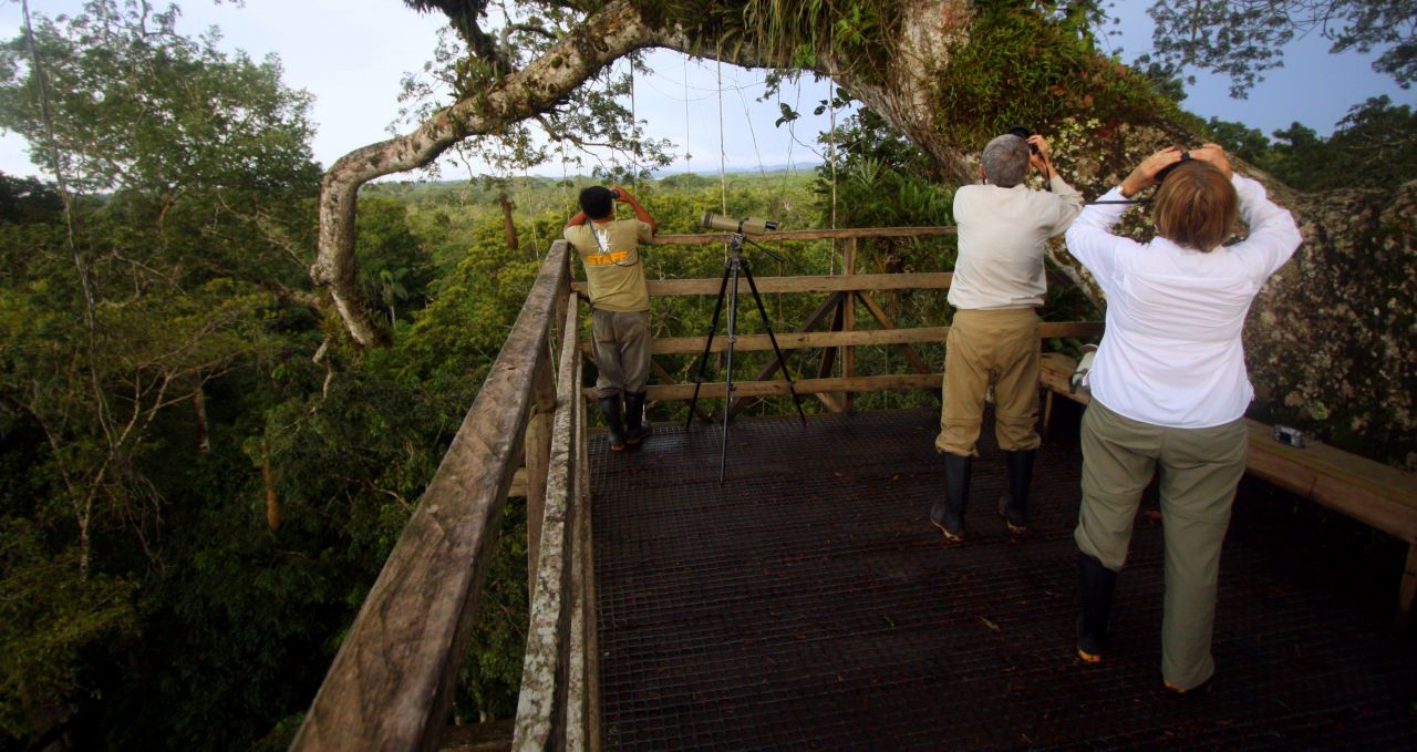 Sacha Lodge Platform Ecuador