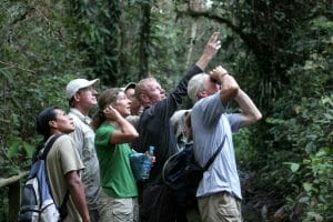 Sacha Lodge Wildlife Viewing Ecuador