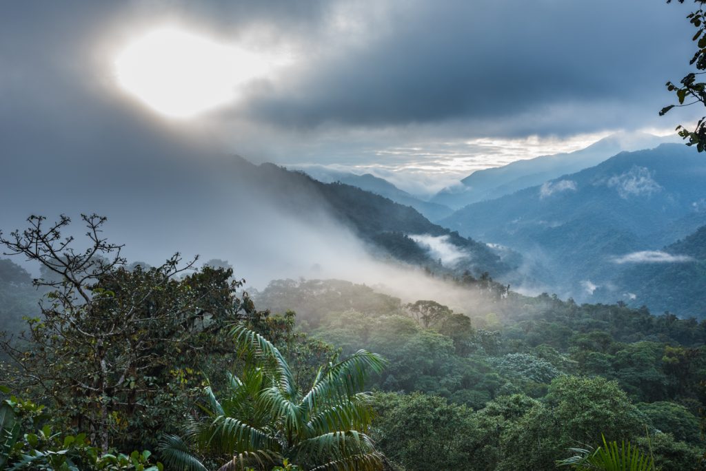 Santa Lucia Cloudforest Lodge Equateur