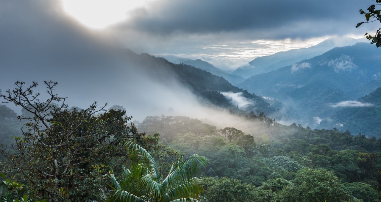 Santa Lucia Cloudforest Lodge Ecuador