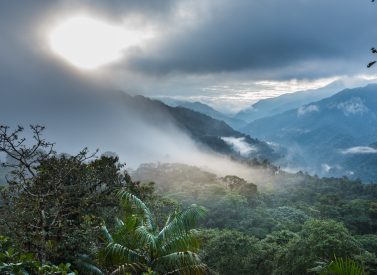 Santa Lucia Cloudforest Lodge Ecuador