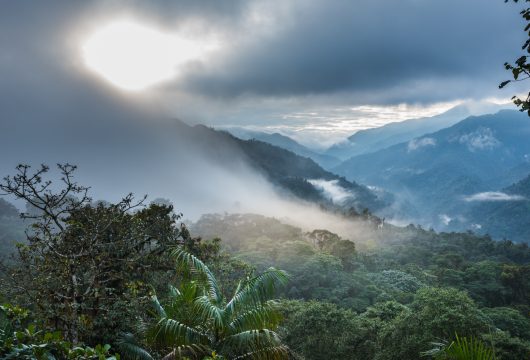 Santa Lucia Cloudforest Lodge Ecuador