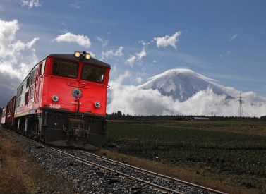 Tren Crucero boliche Ecuador
